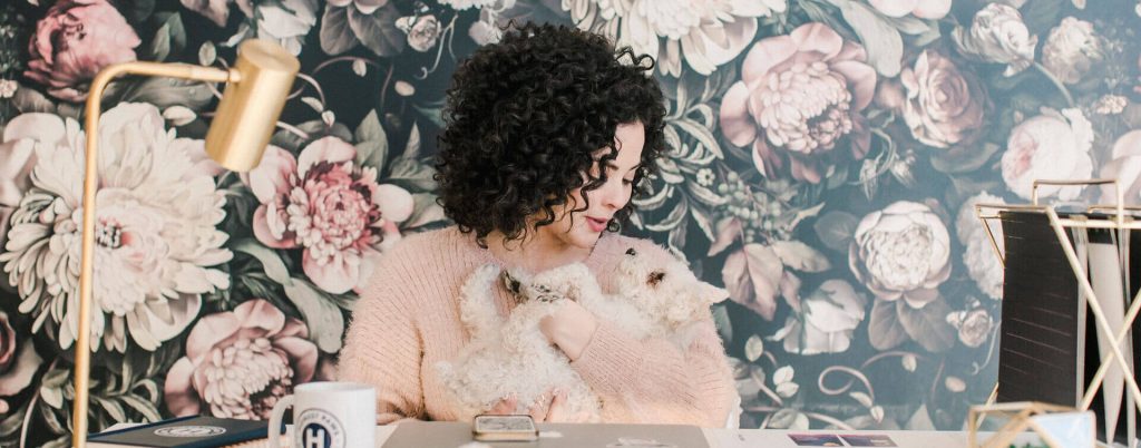 Staying Humble In Your Design Career Honest Paws Vj3uLaSMf4I Unsplash202 1024x402